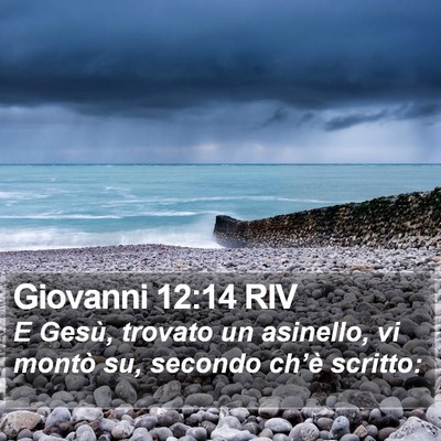 Giovanni 12:14 RIV Bible Verse Image