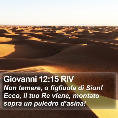 Giovanni 12:15 RIV Bible Verse Image