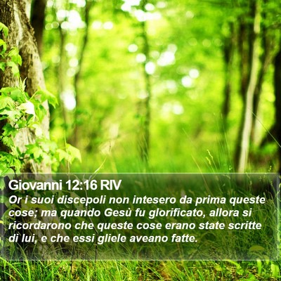 Giovanni 12:16 RIV Bible Verse Image