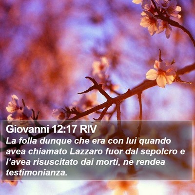 Giovanni 12:17 RIV Bible Verse Image