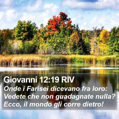 Giovanni 12:19 RIV Bible Verse Image