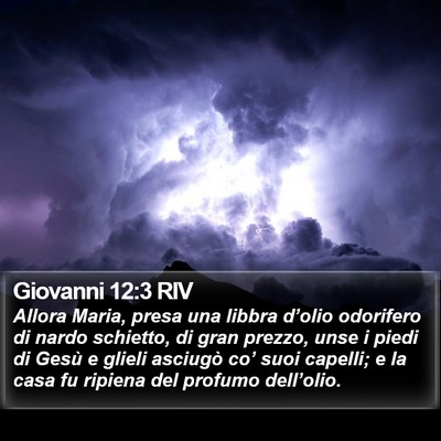 Giovanni 12:3 RIV Bible Verse Image
