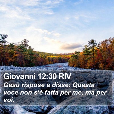 Giovanni 12:30 RIV Bible Verse Image