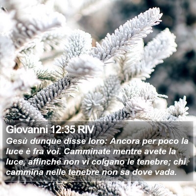 Giovanni 12:35 RIV Bible Verse Image