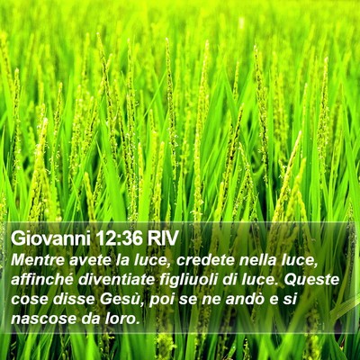 Giovanni 12:36 RIV Bible Verse Image