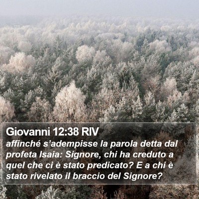 Giovanni 12:38 RIV Bible Verse Image