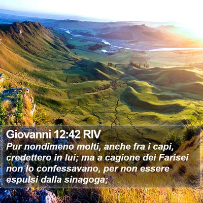 Giovanni 12:42 RIV Bible Verse Image