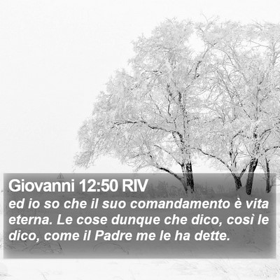 Giovanni 12:50 RIV Bible Verse Image
