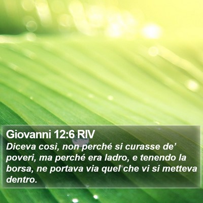 Giovanni 12:6 RIV Bible Verse Image