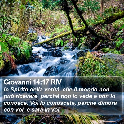 Giovanni 14:17 RIV Bible Verse Image