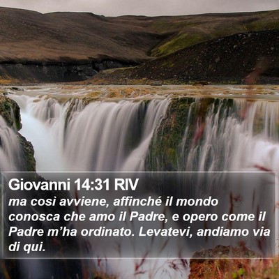 Giovanni 14:31 RIV Bible Verse Image