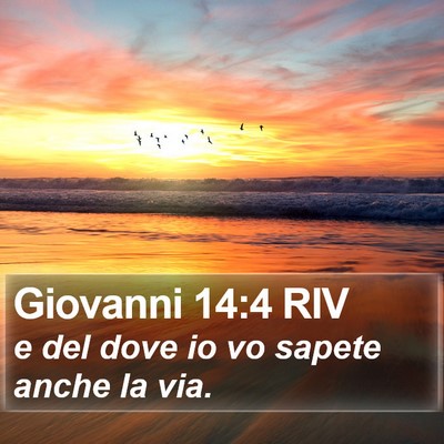 Giovanni 14:4 RIV Bible Verse Image