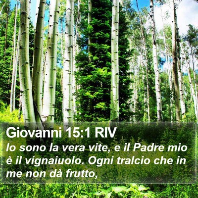 Giovanni 15:1 RIV Bible Verse Image