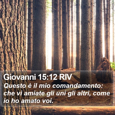 Giovanni 15:12 RIV Bible Verse Image