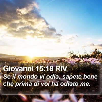 Giovanni 15:18 RIV Bible Verse Image