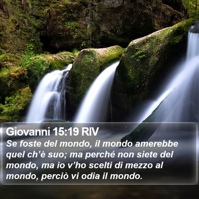 Giovanni 15:19 RIV Bible Verse Image