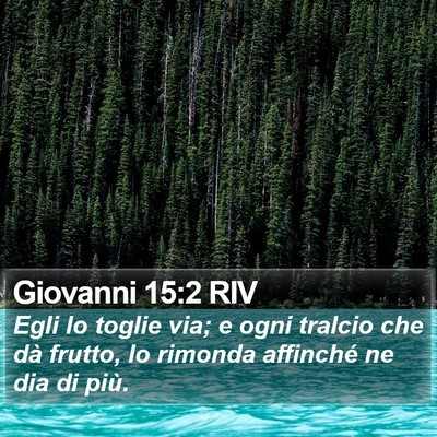 Giovanni 15:2 RIV Bible Verse Image