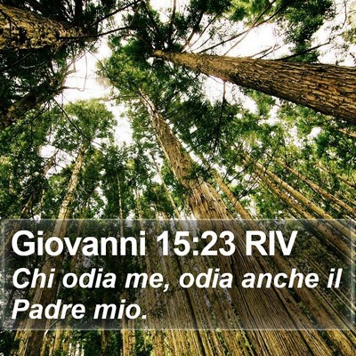 Giovanni 15:23 RIV Bible Verse Image