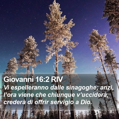 Giovanni 16:2 RIV Bible Verse Image