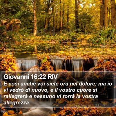Giovanni 16:22 RIV Bible Verse Image