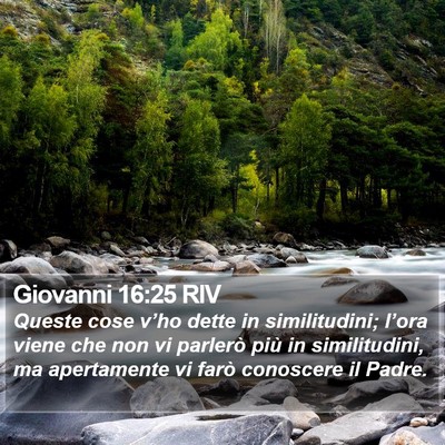 Giovanni 16:25 RIV Bible Verse Image