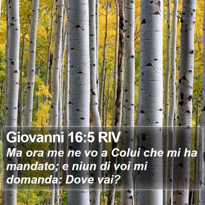 Giovanni 16:5 RIV Bible Verse Image