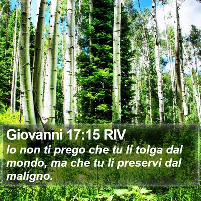 Giovanni 17:15 RIV Bible Verse Image