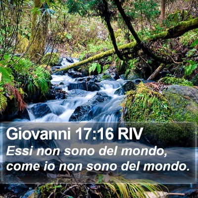 Giovanni 17:16 RIV Bible Verse Image