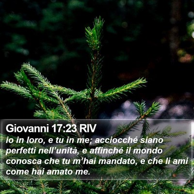 Giovanni 17:23 RIV Bible Verse Image