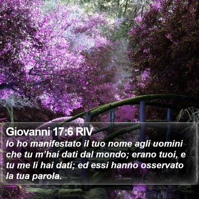 Giovanni 17:6 RIV Bible Verse Image