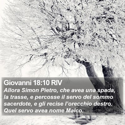 Giovanni 18:10 RIV Bible Verse Image