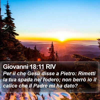 Giovanni 18:11 RIV Bible Verse Image