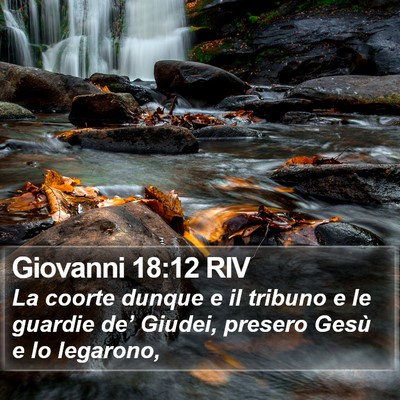 Giovanni 18:12 RIV Bible Verse Image