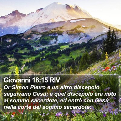 Giovanni 18:15 RIV Bible Verse Image