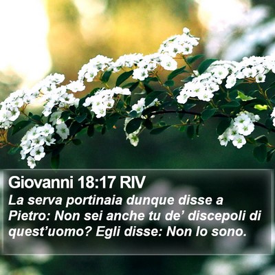 Giovanni 18:17 RIV Bible Verse Image
