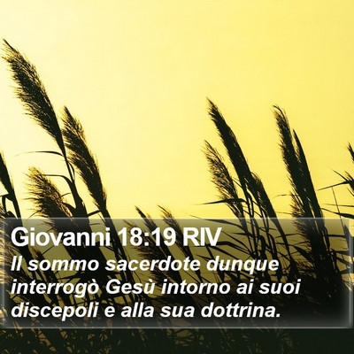 Giovanni 18:19 RIV Bible Verse Image