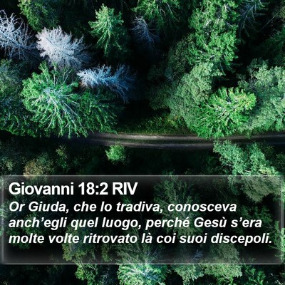 Giovanni 18:2 RIV Bible Verse Image