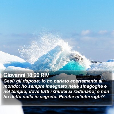 Giovanni 18:20 RIV Bible Verse Image