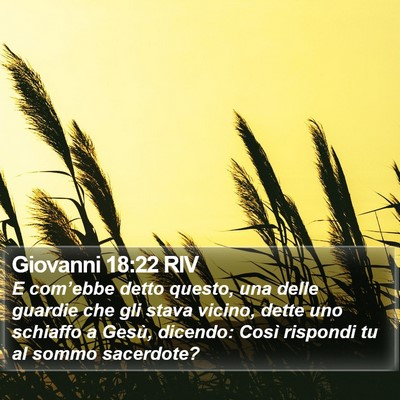 Giovanni 18:22 RIV Bible Verse Image