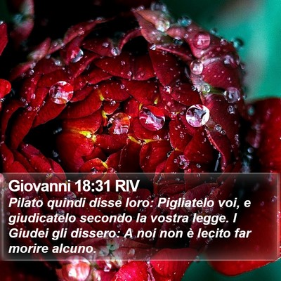 Giovanni 18:31 RIV Bible Verse Image