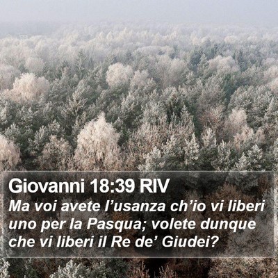 Giovanni 18:39 RIV Bible Verse Image