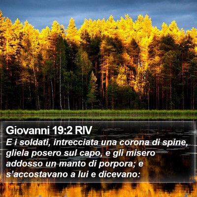 Giovanni 19:2 RIV Bible Verse Image