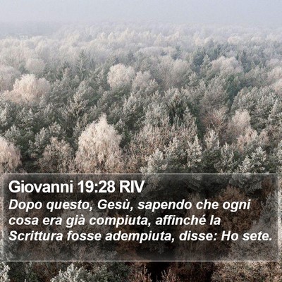 Giovanni 19:28 RIV Bible Verse Image