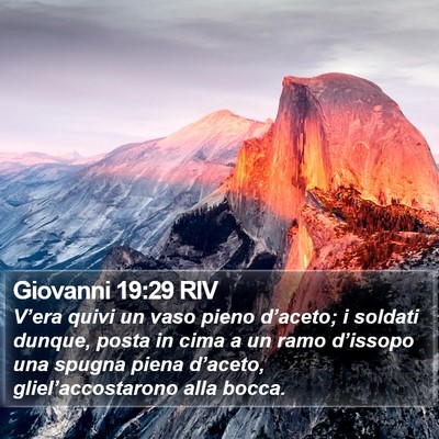 Giovanni 19:29 RIV Bible Verse Image