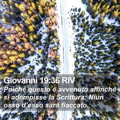 Giovanni 19:36 RIV Bible Verse Image