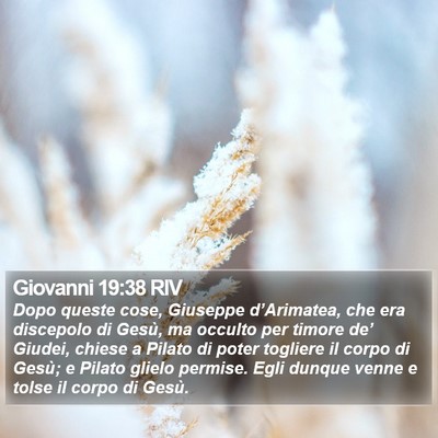 Giovanni 19:38 RIV Bible Verse Image