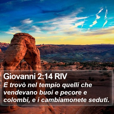 Giovanni 2:14 RIV Bible Verse Image