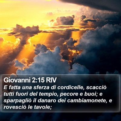 Giovanni 2:15 RIV Bible Verse Image