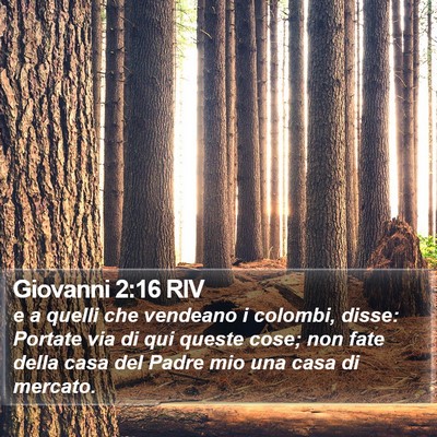 Giovanni 2:16 RIV Bible Verse Image