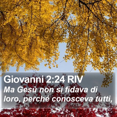 Giovanni 2:24 RIV Bible Verse Image